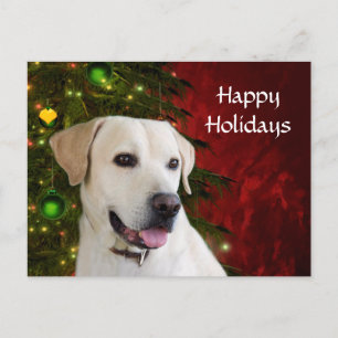 Yellow labrador retriever Christmas Holiday Postcard