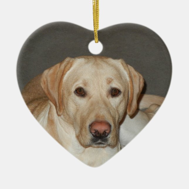Yellow Labrador Retriever Christmas Ornament (Front)