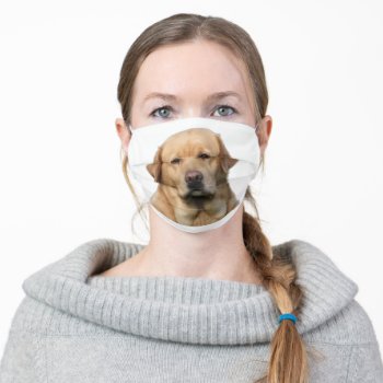 Yellow Labrador Retriever Dog Adult Cloth Face Mask by JLBIMAGES at Zazzle
