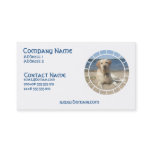 Yellow Labrador Retriever Dog Business Card
