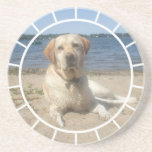 Yellow Labrador Retriever Dog Coaster