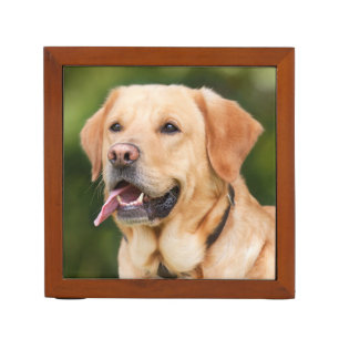 Yellow Labrador Retriever Dog - Lab Desk Organizer