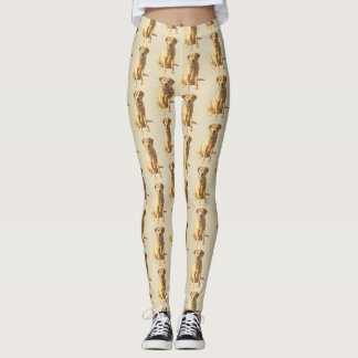Yellow Labrador Retriever Dog Leggings