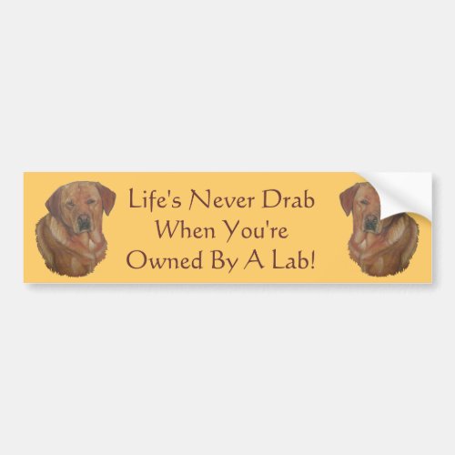 yellow labrador retriever dog portrait art slogan bumper sticker