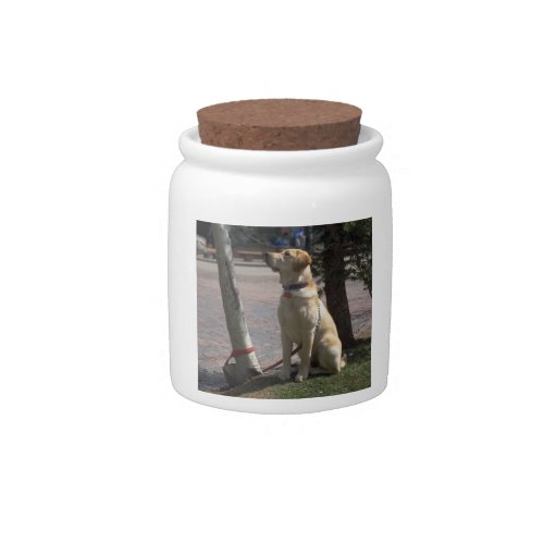 Yellow Labrador Retriever Dog Treat Candy Jar