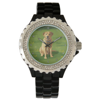 Yellow Labrador Retriever Dog Watch