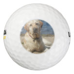 Yellow Labrador Retriever Golf Balls