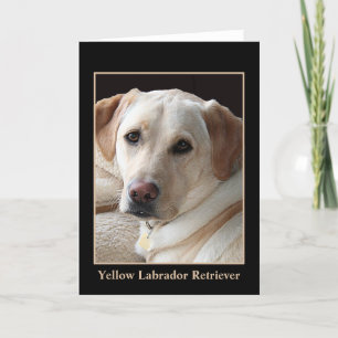 Yellow Labrador Retriever Greeting Card (blank)
