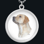 Yellow Labrador Retriever head Silver Plated Necklace<br><div class="desc">Yellow Labrador Retriever head study necklace</div>
