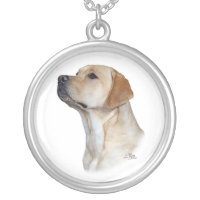 Yellow Labrador Retriever head