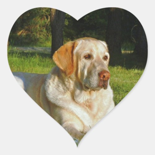 Yellow Labrador Retriever Heart Sticker