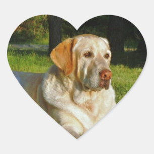 Yellow Labrador Retriever Heart Sticker