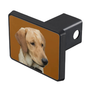 Yellow Labrador Retriever Hitch Cover