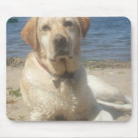 Yellow Labrador Retriever Mouse Pad