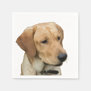 Yellow Labrador Retriever Napkins
