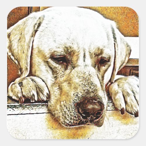 Yellow Labrador Retriever on Door Square Sticker