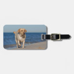 Yellow Labrador Retriever On The Beach Luggage Tag at Zazzle