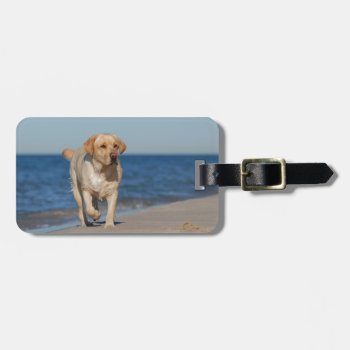Yellow Labrador Retriever On The Beach Luggage Tag by petsArt at Zazzle