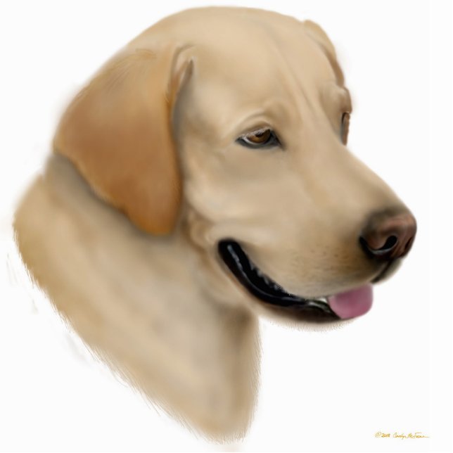 Yellow Labrador Retriever Ornament (Front)