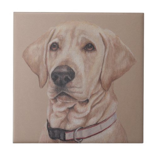 Yellow Labrador Retriever Pet Dog Art Ceramic Tile