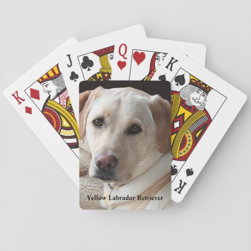 Yellow Labrador Retriever Poker Cards