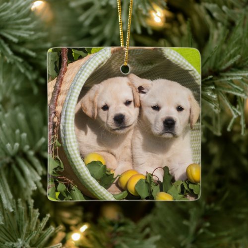 Yellow Labrador Retriever Puppies in a Basket Ceramic Ornament