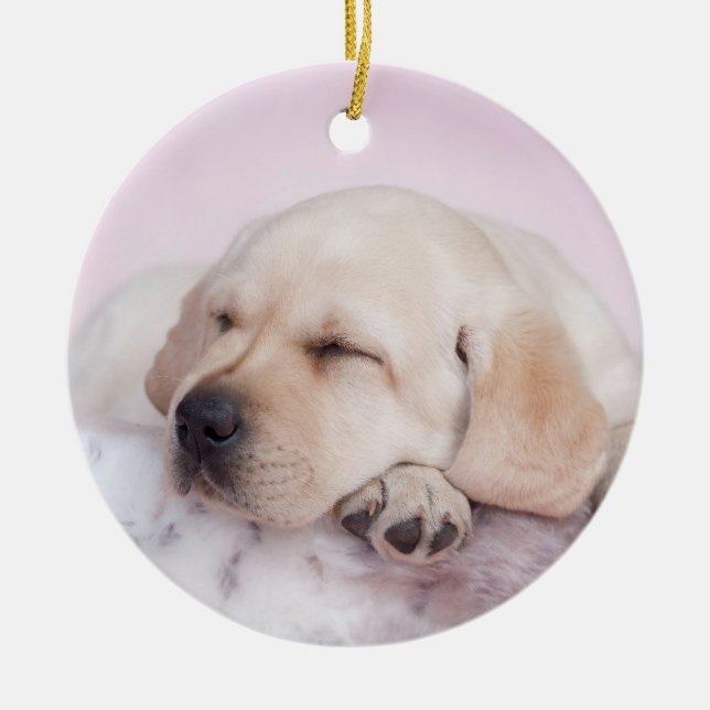 Yellow labrador retriever puppy ceramic ornament (Front)