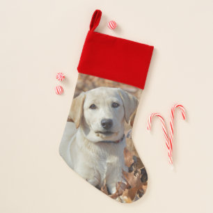 Yellow Labrador Retriever Puppy Christmas Stocking