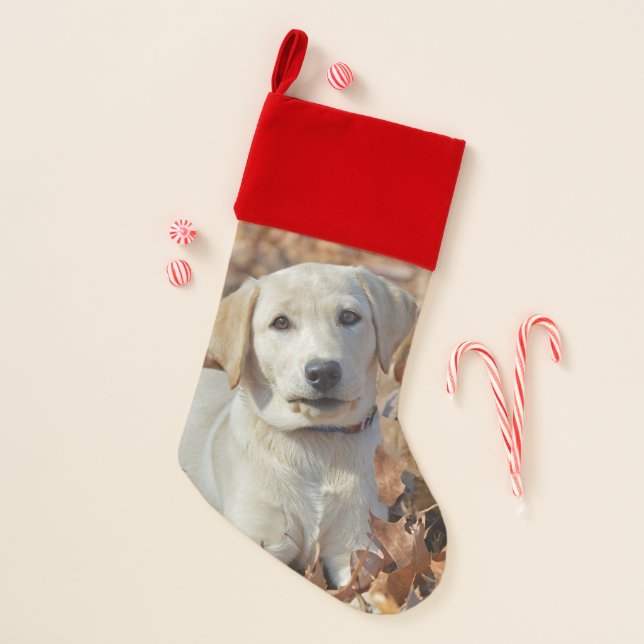 Yellow Labrador Retriever Puppy Christmas Stocking (Front)