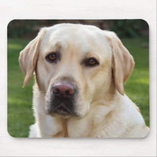 Yellow Labrador Retriever Puppy Dog - Green Mouse Pad