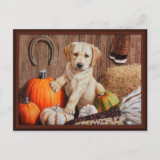 Yellow Labrador Retriever Puppy Dog Pumpkin Autumn Holiday Postcard