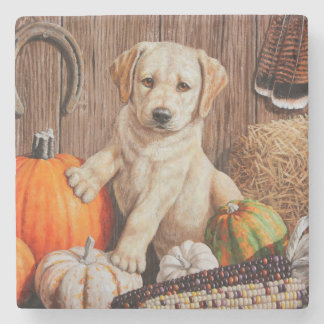 Yellow Labrador Retriever Puppy Dog Pumpkin Autumn Stone Coaster