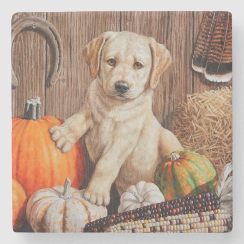 Yellow Labrador Retriever Puppy Dog Pumpkin Autumn Stone Coaster