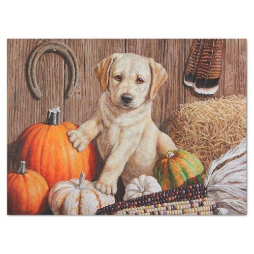 Yellow Labrador Retriever Puppy Dog Pumpkin Autumn Tissue Paper