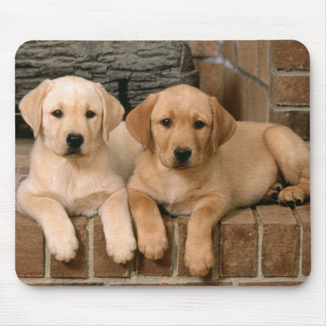 Yellow Labrador Retriever Puppy Dogs Mouse Pad (Front)