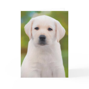 Yellow Labrador Retriever Puppy Greeting Cards