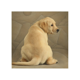 Yellow Labrador Retriever Puppy Wood Wall Decor