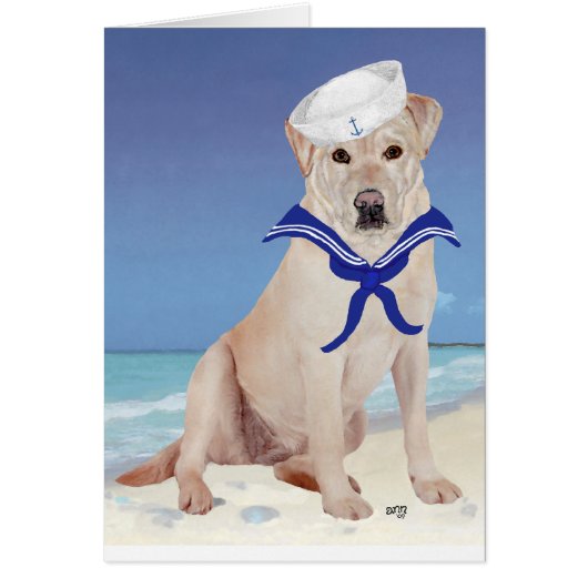 Yellow Labrador Retriever Sailor (Front)