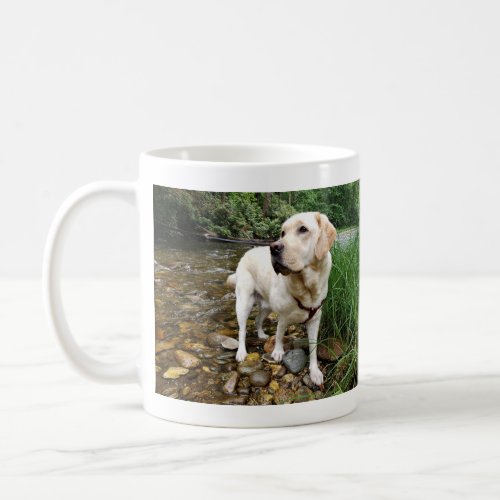 Yellow Labrador Retriever Stately Pose Coffee Mug