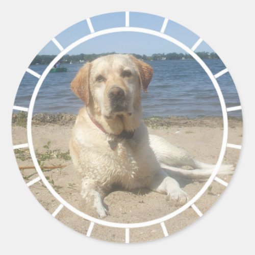 Yellow Labrador Retriever Stickers