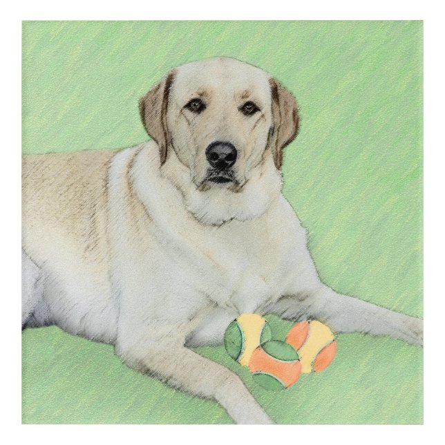 Yellow Labrador Retriever & Tennis Balls Painting Acrylic Print (Front)