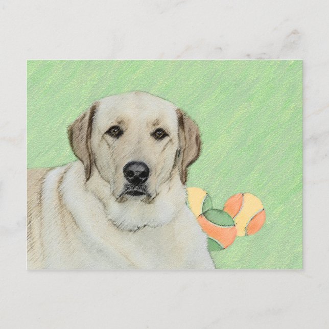 Yellow Labrador Retriever & Tennis Balls Painting Postcard (Front)