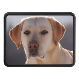 yellow labrador retriever tow hitch cover