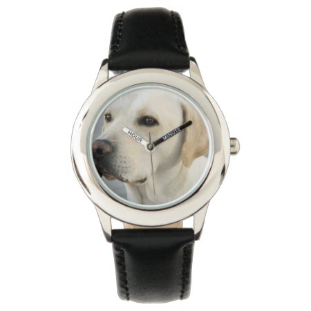 Yellow Labrador Retriever Watch