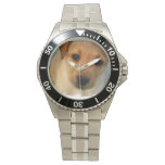 Yellow Labrador Retriever Watch