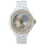 Yellow Labrador Retriever Watch