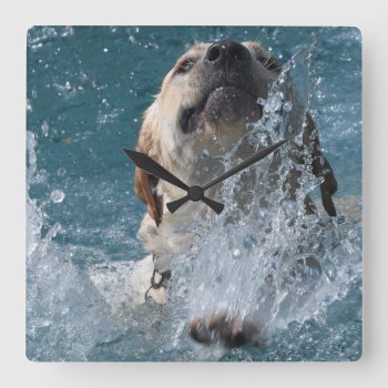 Yellow Labrador Retriever Water Dog Square Wall Clock by WackemArt at Zazzle