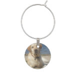 Yellow Labrador Retriever Wine Glass Charm