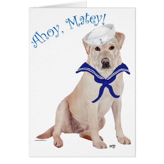 Yellow Labrador Sailor (Front)