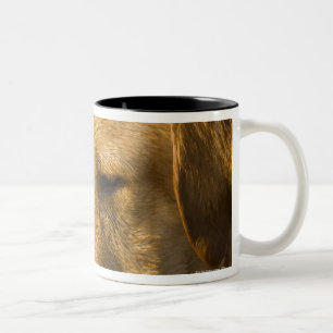 Yellow labrador with a tennis ball in the water Two-Tone coffee mug